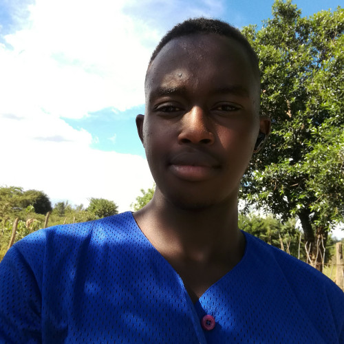 ROY K. profile photo