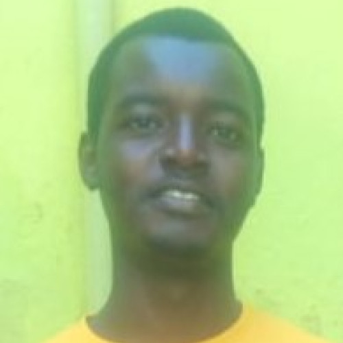 martin n. profile photo