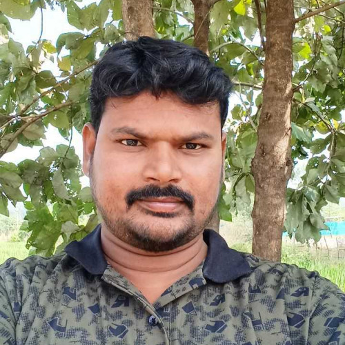 Ramesh P.