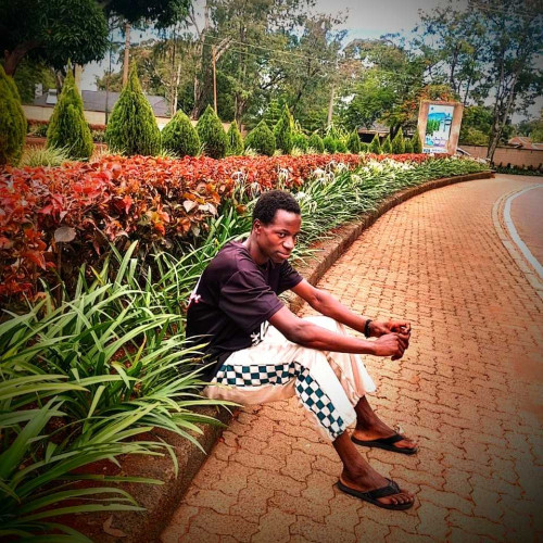 Hamilton M. profile photo