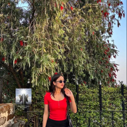 priya s.