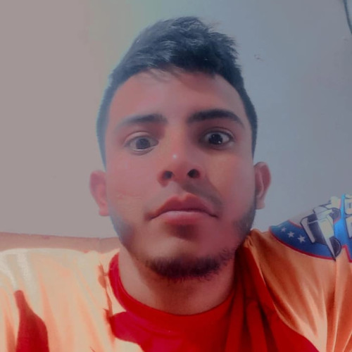 Nick P. profile photo