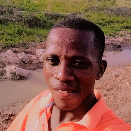 Daniel  K. profile photo