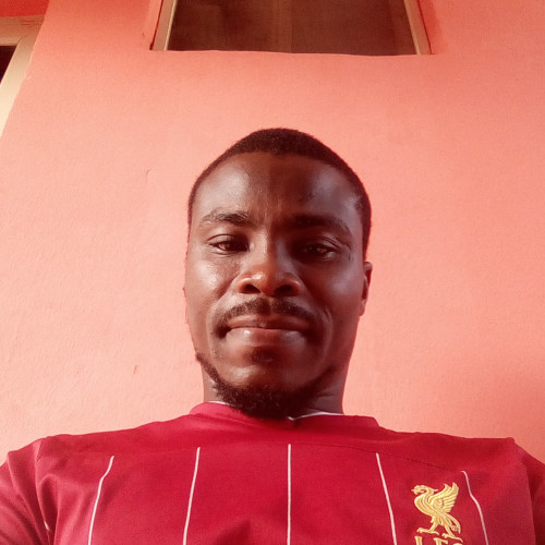 CHIBUZO  O. profile photo