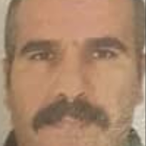 Masoud T. profile photo