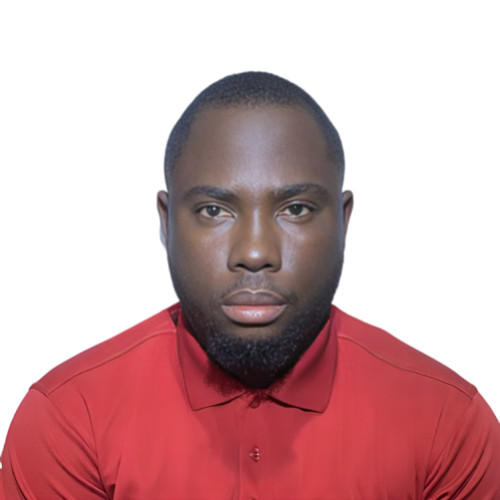 OLUGBENGA O. profile photo