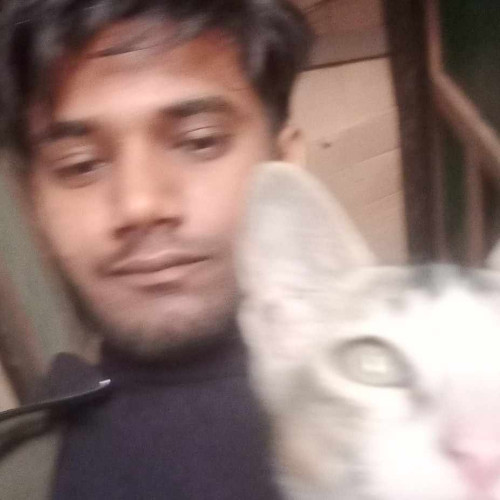 Akash A. profile photo