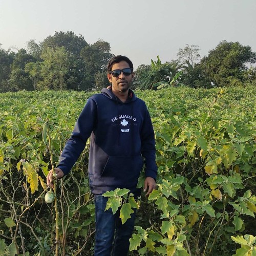 Rajib n. profile photo