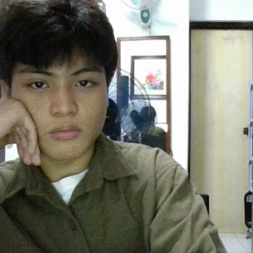 Pilov N. profile photo