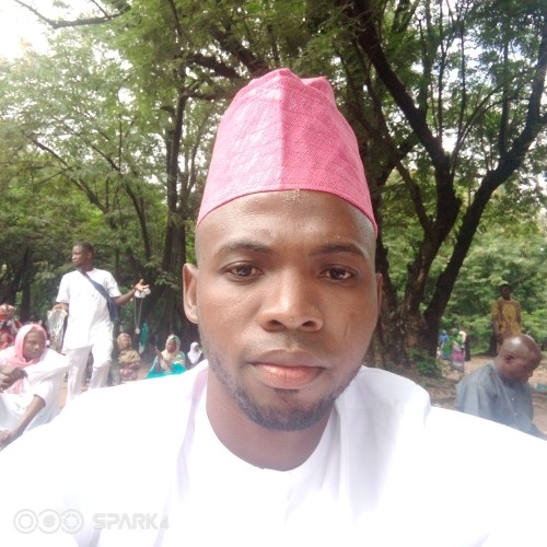 Taofeek A. profile photo
