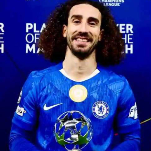 Shedy v. profile photo