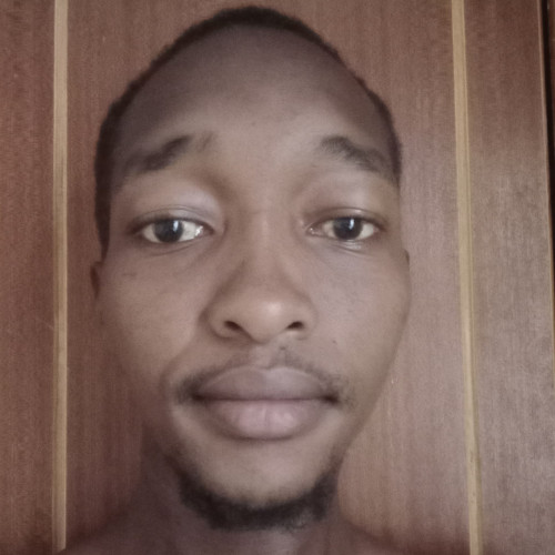 nelson n. profile photo