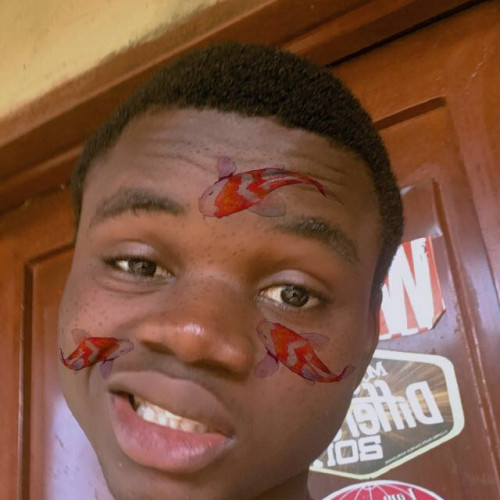 Aduragbemi O. profile photo