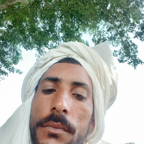 Mshah Z.