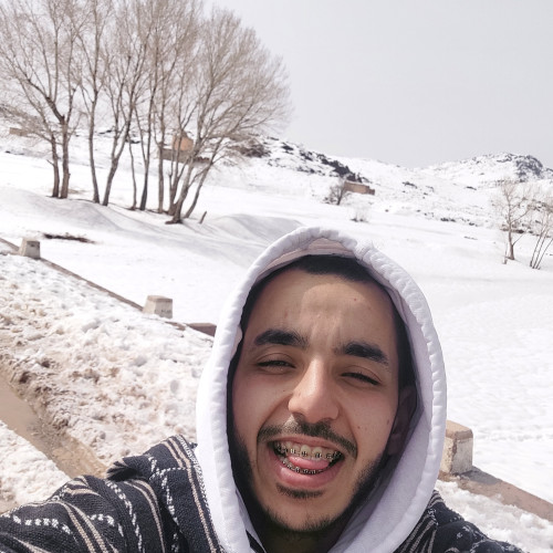 Abdelmajid O.
