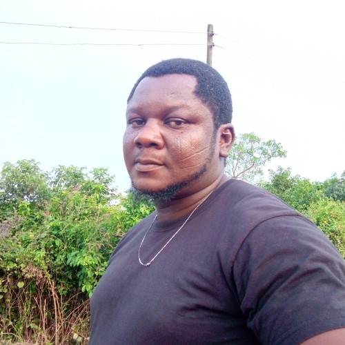 Ifeanyi O. profile photo