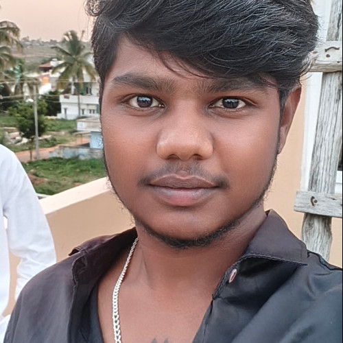 Parsha V. profile photo