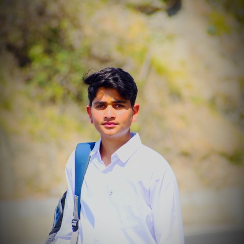 Devesh P.