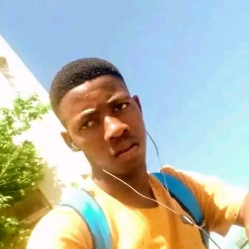Elvis  K. profile photo