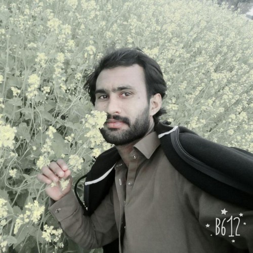 najaf s.