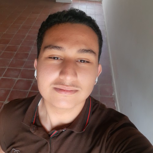 Houssam L. profile photo