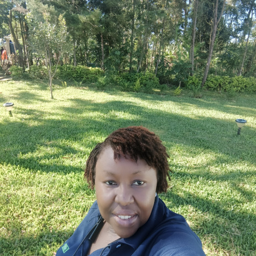 Carol N. profile photo