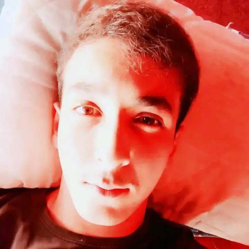walid k. profile photo