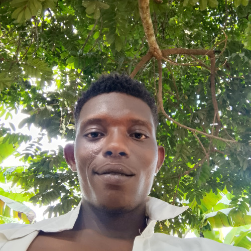 Franklin  C. profile photo