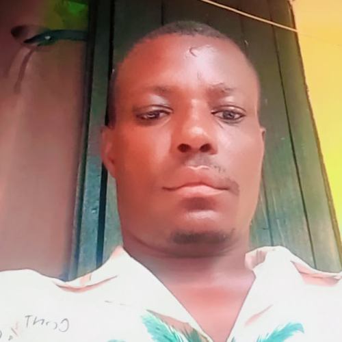 Chinwendu E.