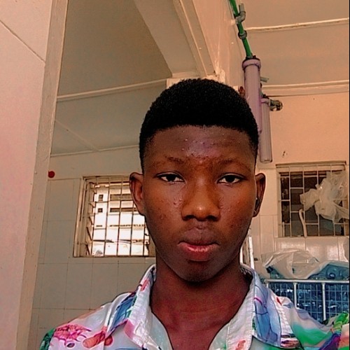 Emmanuel A. profile photo