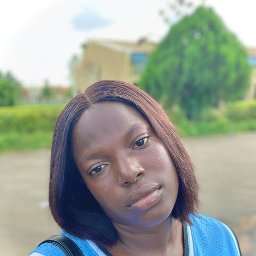 Oyinkansola T. profile photo
