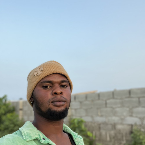 Oluwaseun B.