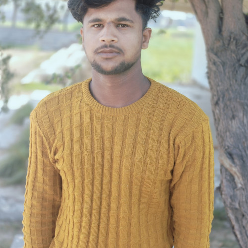 Bhupinder S.