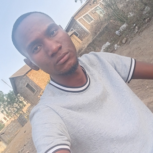 Ali T. profile photo