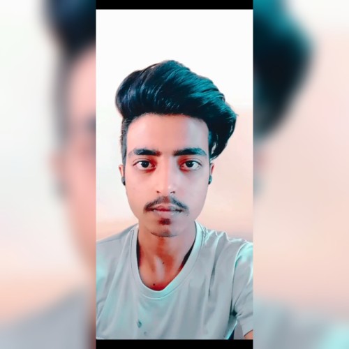 Kaushik  K.