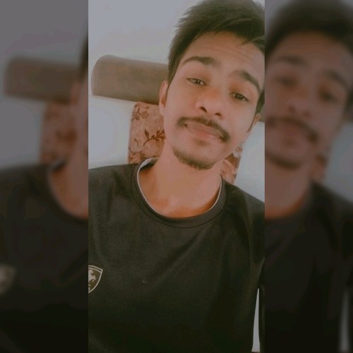 Bhavesh m.