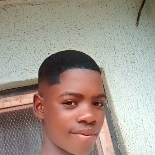 Adebayo  B. profile photo
