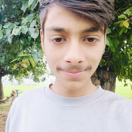 Prince  N. profile photo