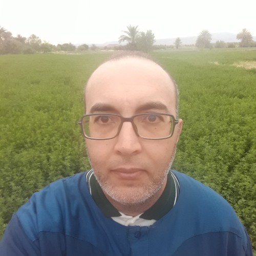 Mustapha M. profile photo