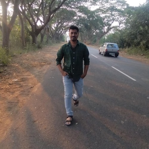 Ramakrishna  D.