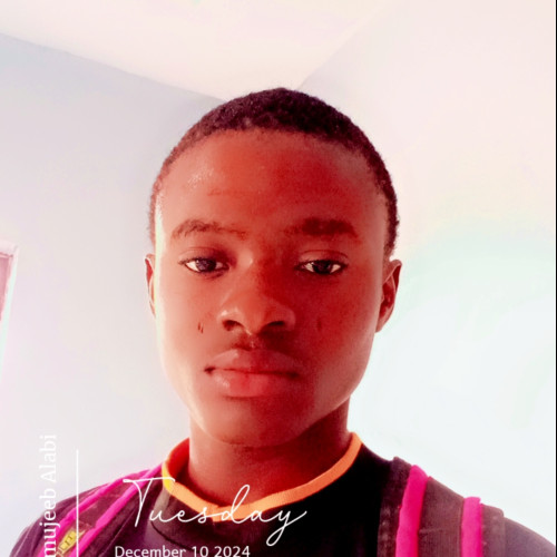 Bolaji mujeeb A.