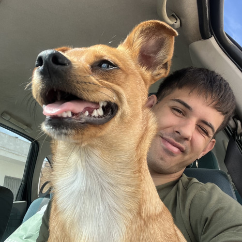 David P. profile photo
