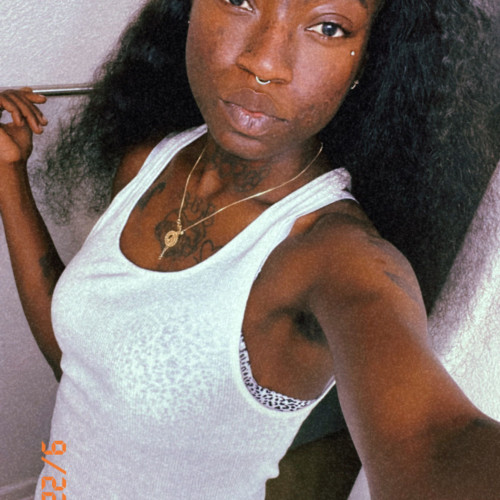 kimbre n.