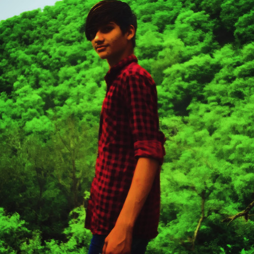 Vishal S. profile photo
