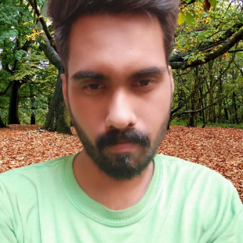 Ameer H.