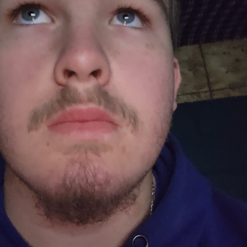 Kevin N. profile photo