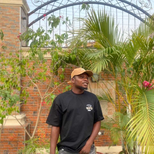 Odufuwa E. profile photo