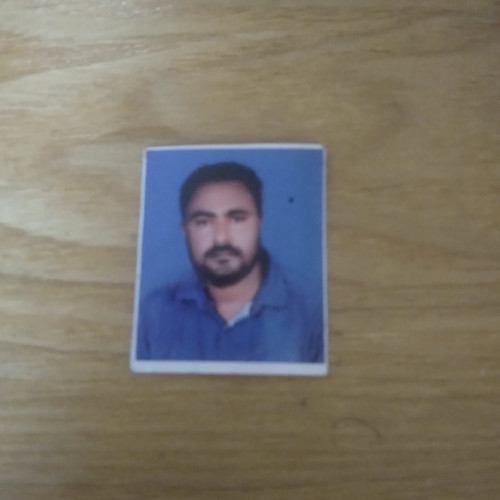 Amnuel Z. profile photo
