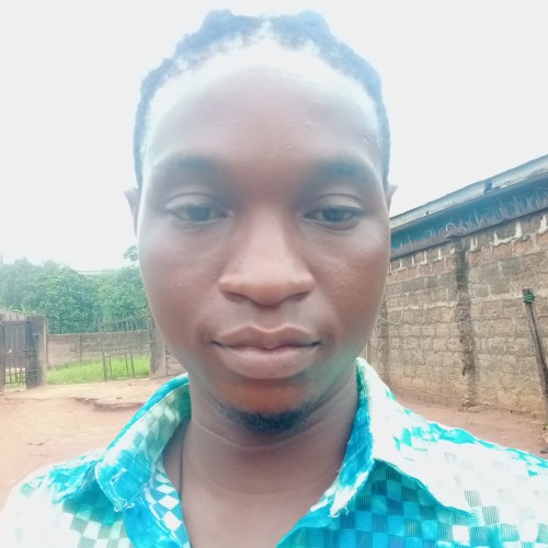 Okoro  D.