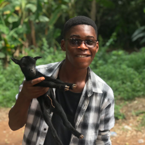 Patrice  S. profile photo